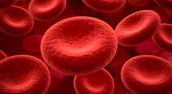 Hematología