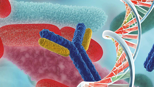 Abordajes Moleculares en la solución de las resistencias hospitalarias