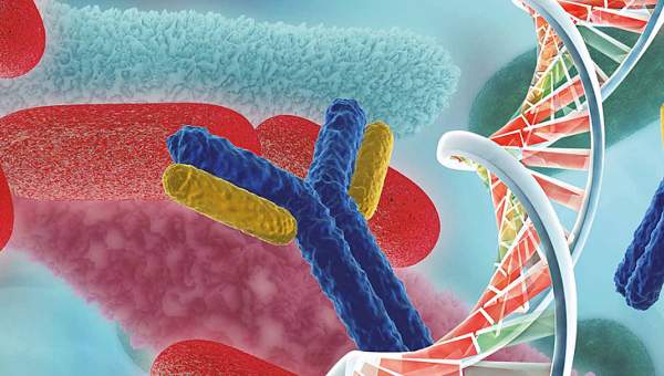 Segundas jornadas de Microbiología y Virología Molecular
