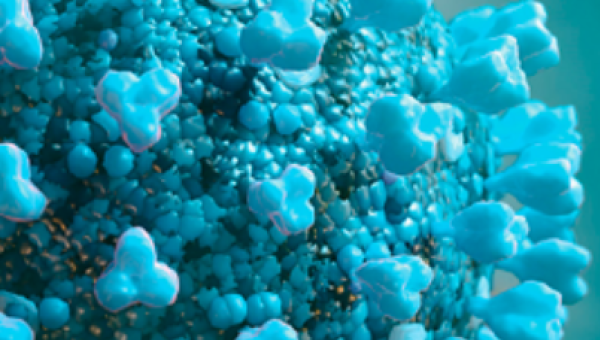 Respuesta inmunitaria en la Covid-19