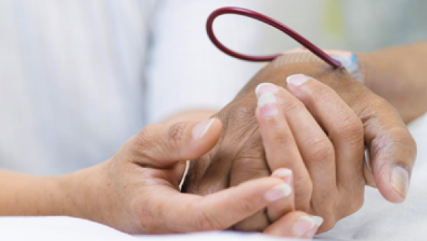 Consultoría en Bancos de Sangre