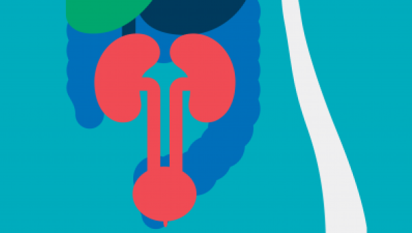 Compendio sobre análisis de orina