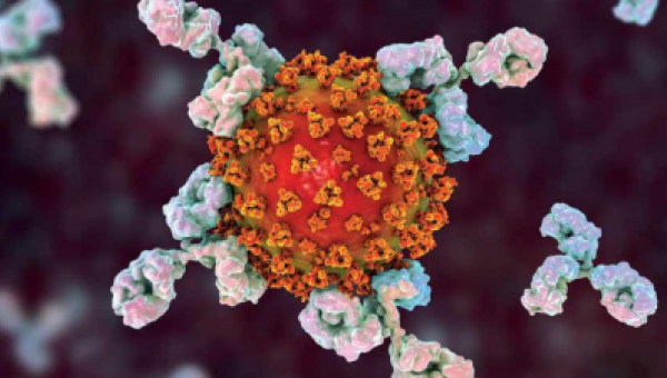 Preguntas y respuestas sobre la respuesta inmune a la infección por SARS-CoV-2 y vacunación