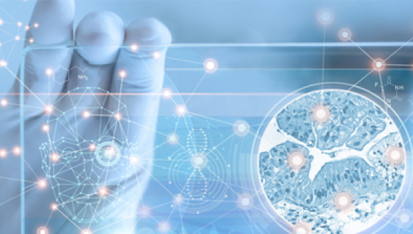 NAVIFY® Mutation Profiler