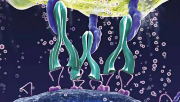 Marcadores Tumorales - Casos Clínicos