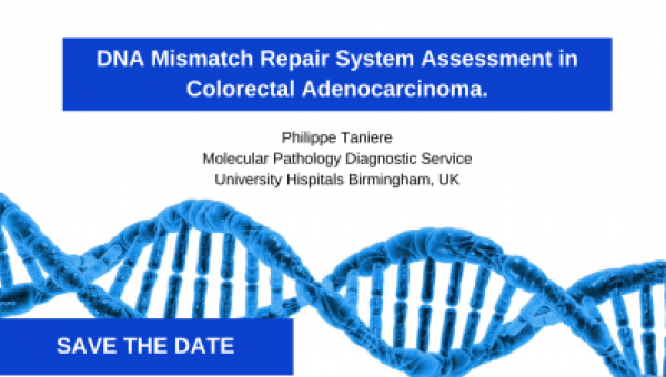 DNA Mismatch Repair System Assessment in Colorectal Adenocarcinoma