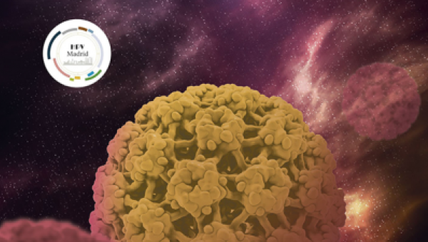 Tinción Dual, la (S)elección del futuro - 3r Congreso Multidisciplinar HPV Madrid Tinción Dual, la (S)elección del futuro - 3r Congreso Multidisciplinar HPV Madrid