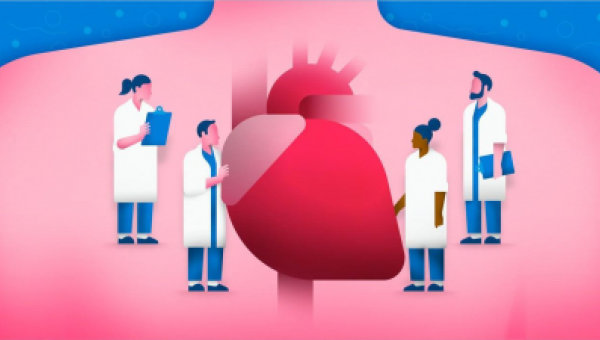 CarDiaLogue: Plataforma educativa dónde se unen la pasión por la cardiología y el diagnóstico CarDiaLogue: Plataforma educativa dónde se unen la pasión por la cardiología y el diagnóstico