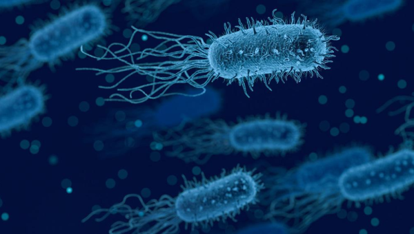 Actualización en el área de microbiología Actualización en el área de microbiología