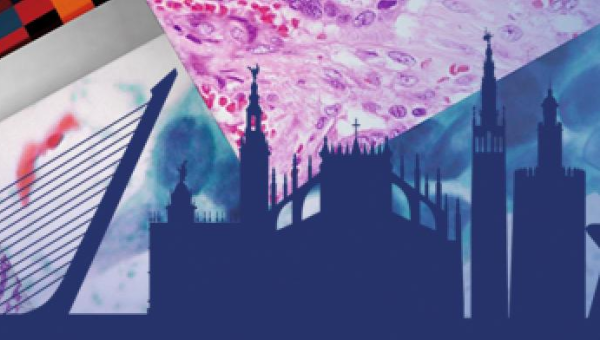 XXXI Congreso Nacional SEAP-IAP XXXI Congreso Nacional SEAP-IAP